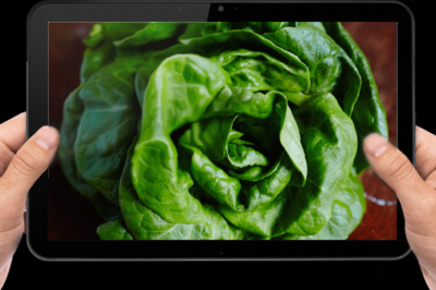 foodiecom
