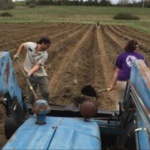farm